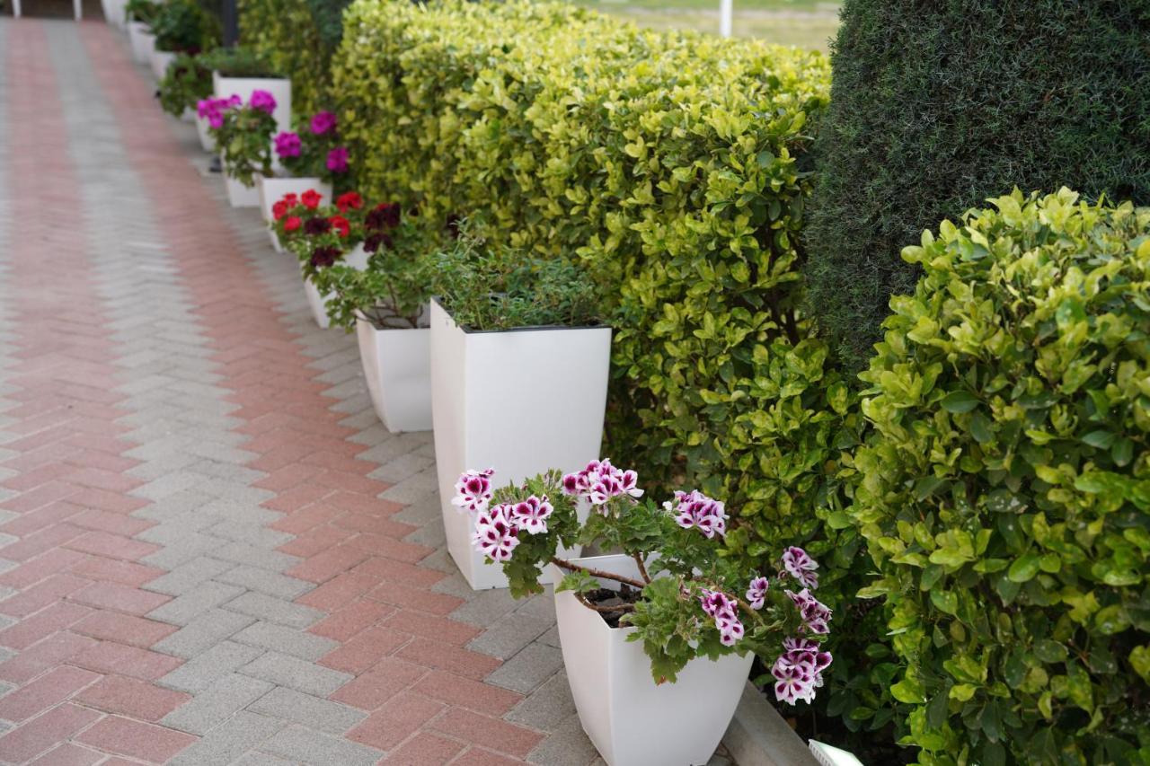Apartments Costa Azzurra Velipoja Kültér fotó